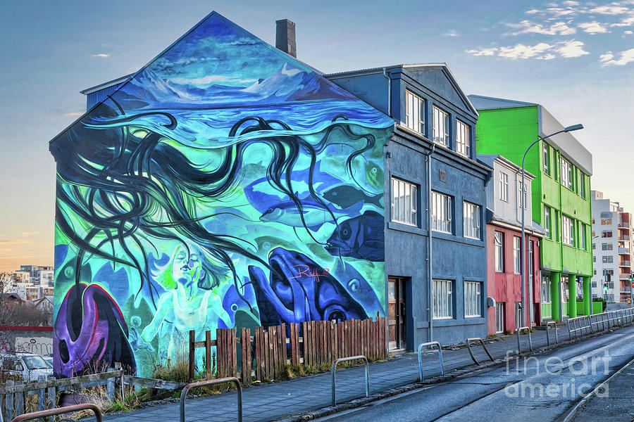 Reykjavik Mural Photograph by Jerry Fornarotto