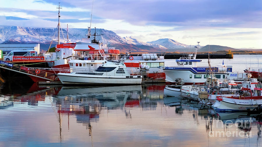 Reykjavik Old Harbor Photograph by Jerry Fornarotto