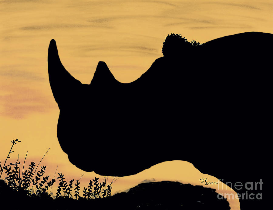 Rhino At Sunset Drawing by D Hackett