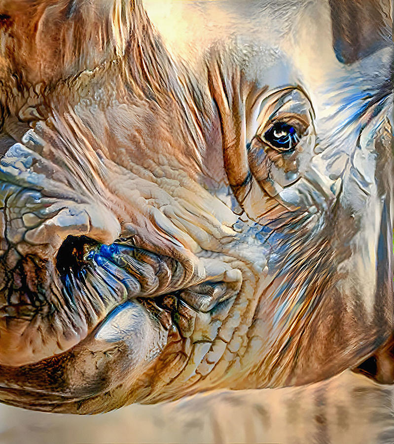 Rhino Grin Photograph by Debra Kewley
