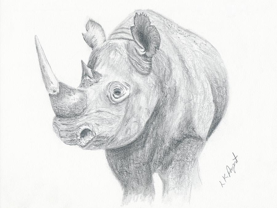 100,000 White rhinoceros Vector Images | Depositphotos