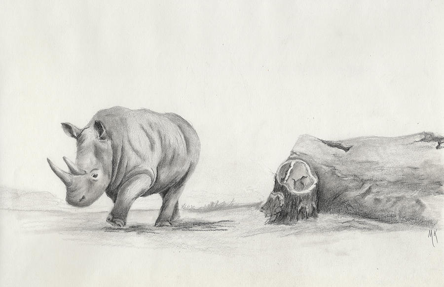 Rhino Walking  Drawing by Melodie Kantner