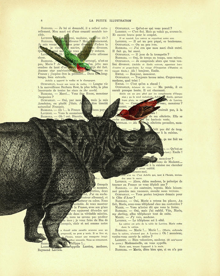 Bird Mixed Media - Rhino with birds by Madame Memento