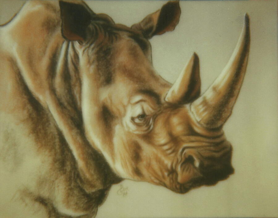 Rhinoceros Pastel by Barbara Keith