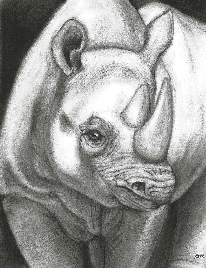 Rhinoceros by Beatrice Rudolph