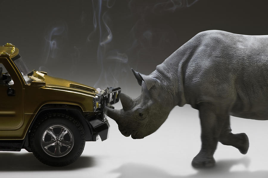 Rhinoceros charges and damages a motor vehicle Photograph by Andrew Bret Wallis