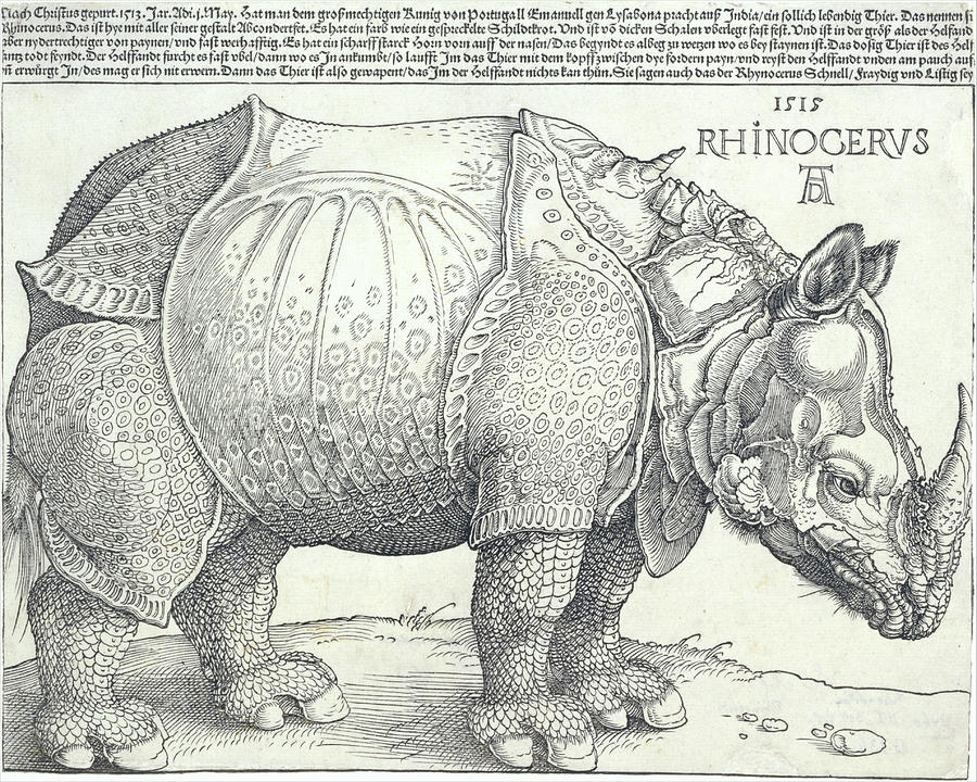 Rhinoceros engraving of Albrecht Durer  Photograph by Steve Estvanik