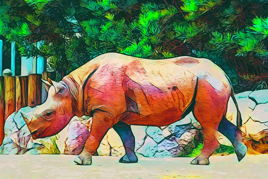 Rhinoceros Photograph by Her Arts Desire