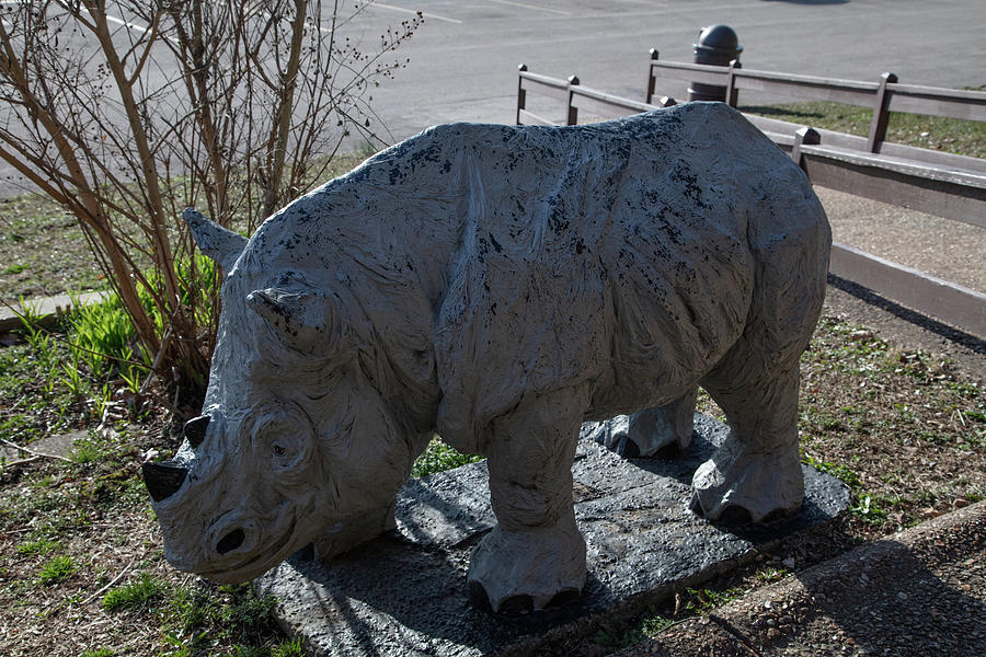 Rhinoceros statue on Historic Route 66  Photograph by Eldon McGraw
