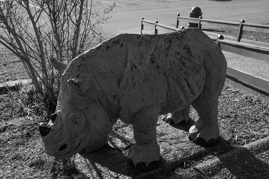 Rhinoceros statue on Historic Route 66 in black and white Photograph by Eldon McGraw