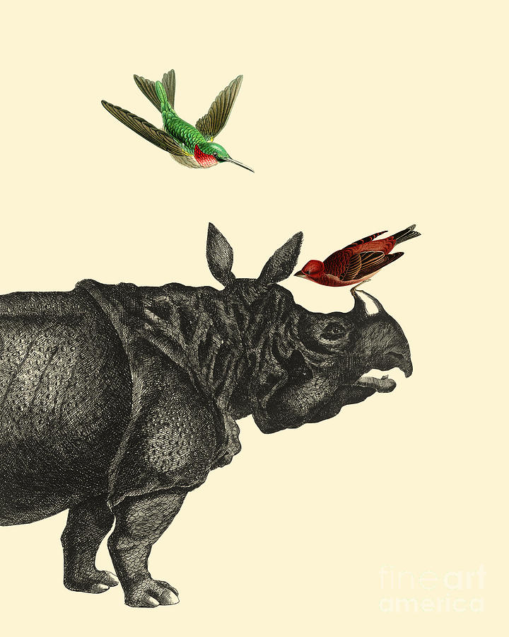Animal Digital Art - Rhinoceros with birds art print by Madame Memento