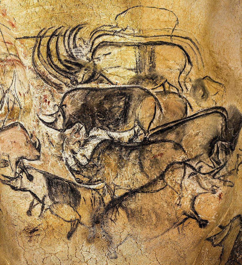 Prehistoric Painting - Rhinoceroses by Chauvet Cave