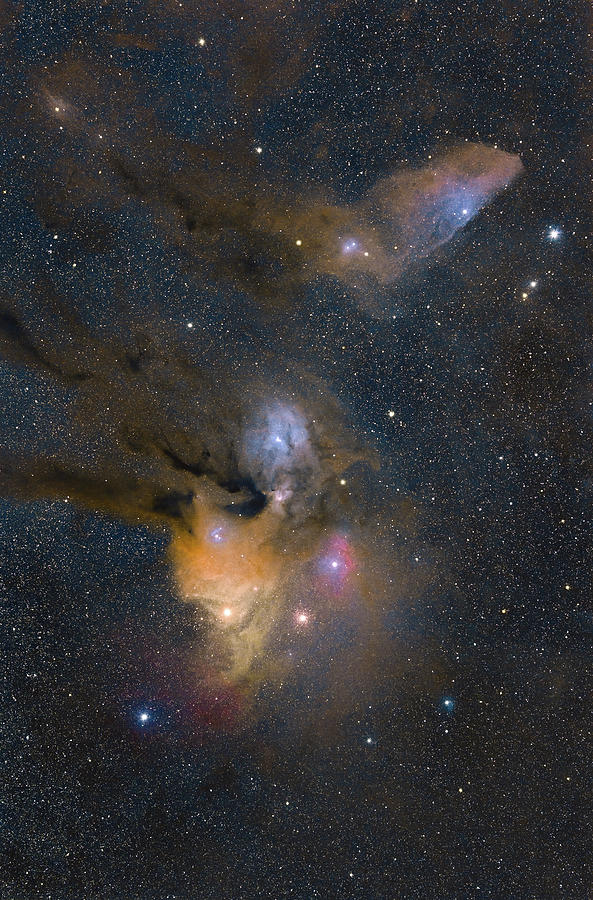 Rho Ophiuchi Photograph by Grant Twiss