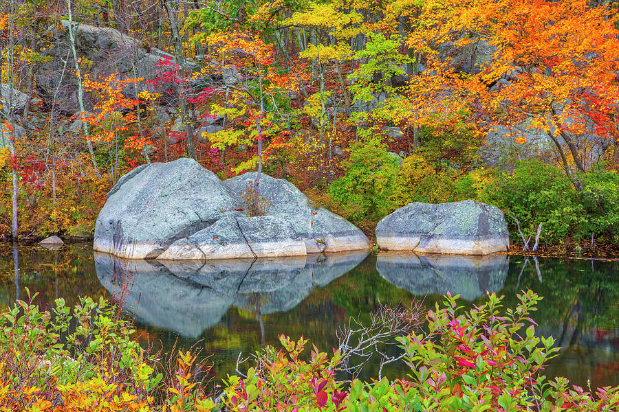 Rhode Island Fall Colors Lincoln Woods State Park Photograph
