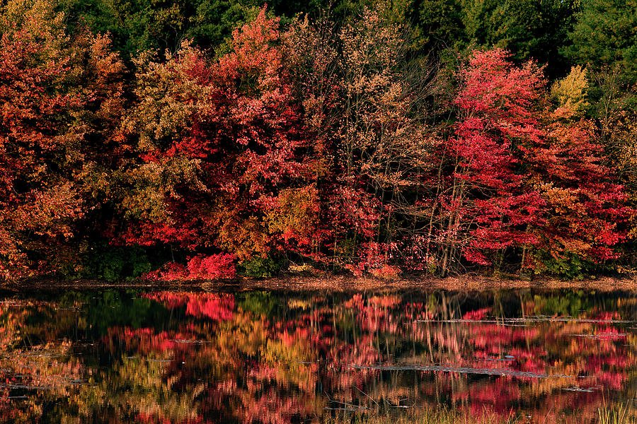 Rhode Island Fall Reflection Photograph by Jeff Folger