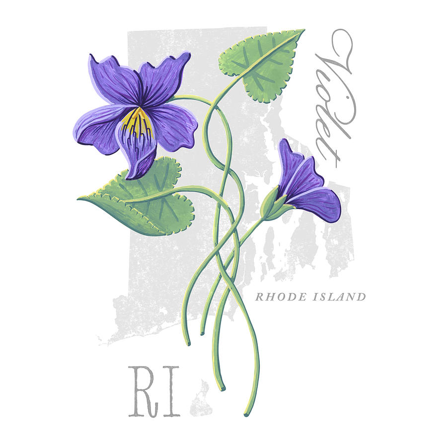 Rhode Island State Flower Violet Art by Jen Montgomery Painting by Jen Montgomery