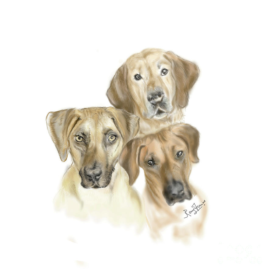 Dog Portrait - Rhodesian Ridgeback Pedigree Dog breed Painting by Remy Francis