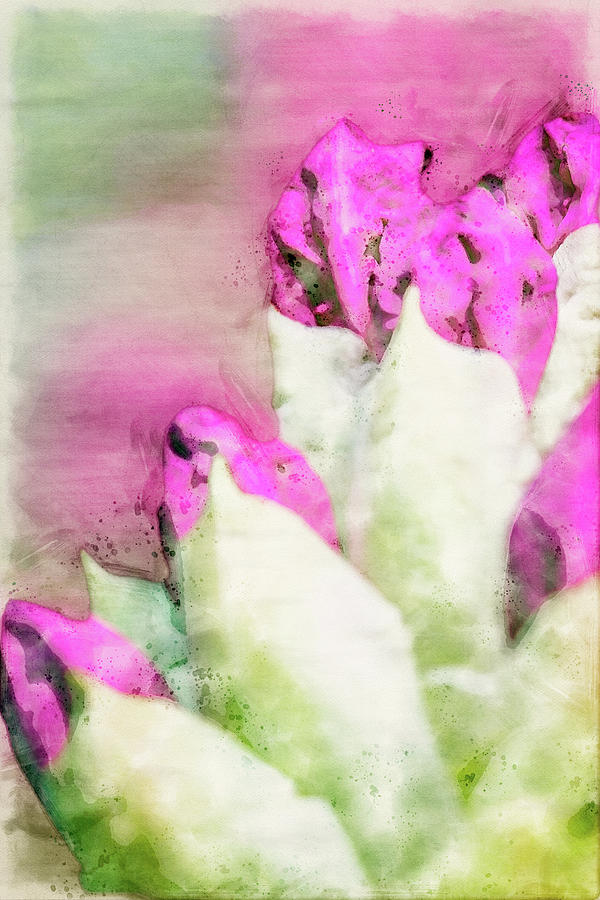 Rhododendron Buds Abstract Digital Art by Marianne Campolongo