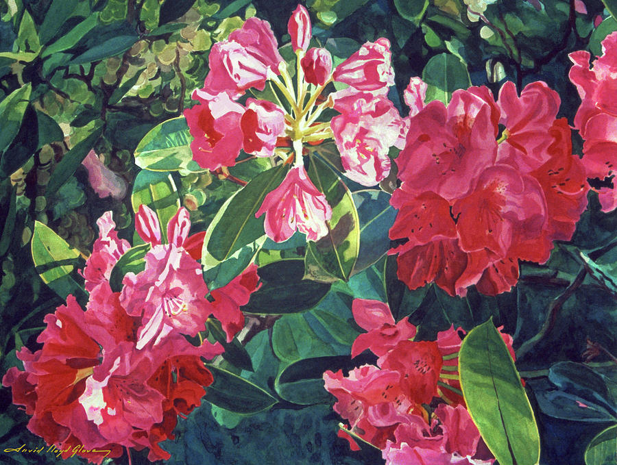 Rhododendron Forest Painting