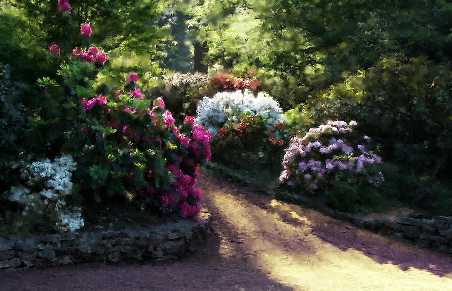 Rhododendron Garden Digital Art by Sherrie Triest