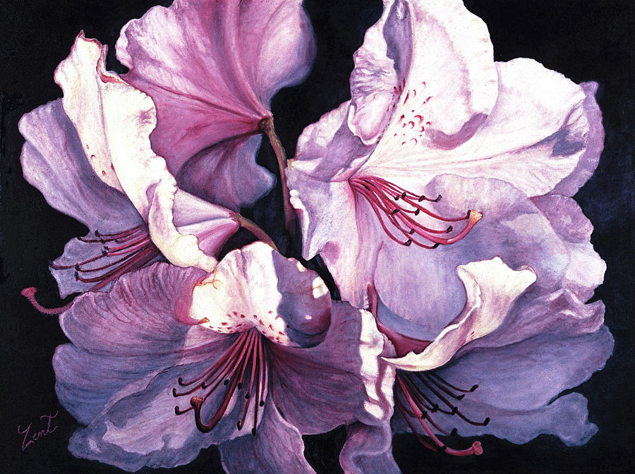 Rhododendron Painting by June Pauline Zent