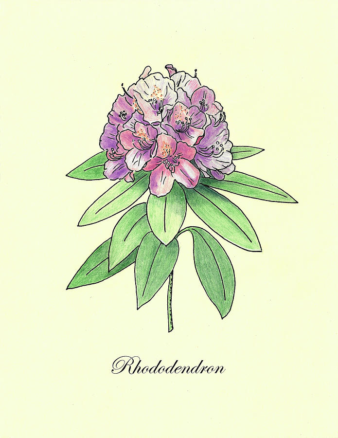 Rhododendron. Vintage Painting by Masha Batkova