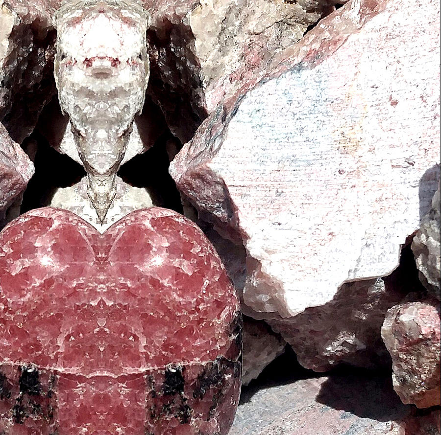 Rhodonite Shield  Photograph by Stephenie Zagorski