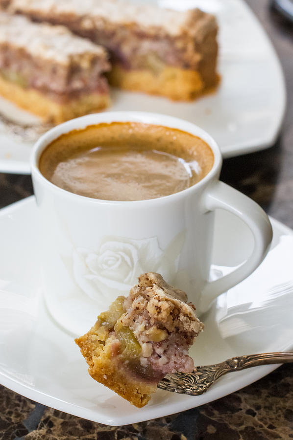 Rhubarb and Hazelnut Cake with Coffee Photograph by Katya Lyukum