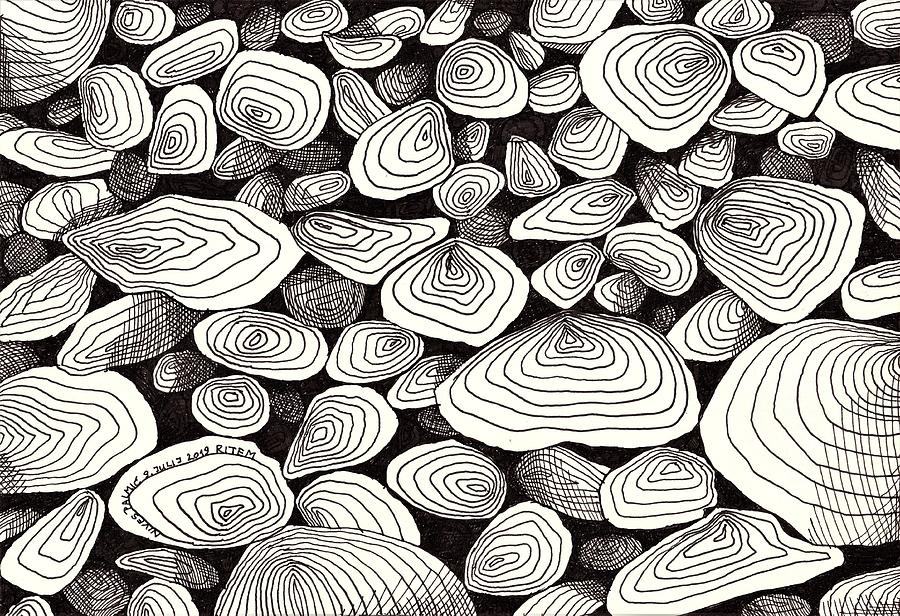 Black And White Drawing - Rhythm I by Nives Palmic