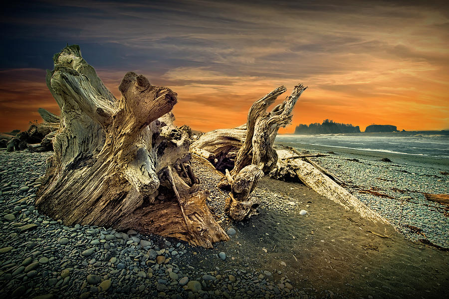 Rialto Beach at Sunset in Olympic National Park in Washington St Photograph by Randall Nyhof