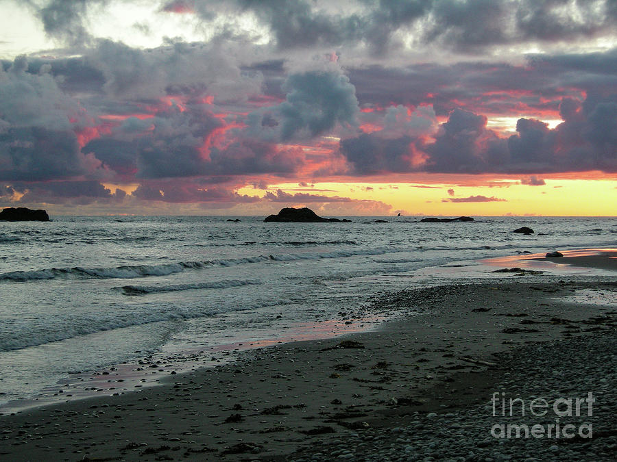 Rialto Beach Sunset on the Olympic Coast Photograph by Nancy Gleason