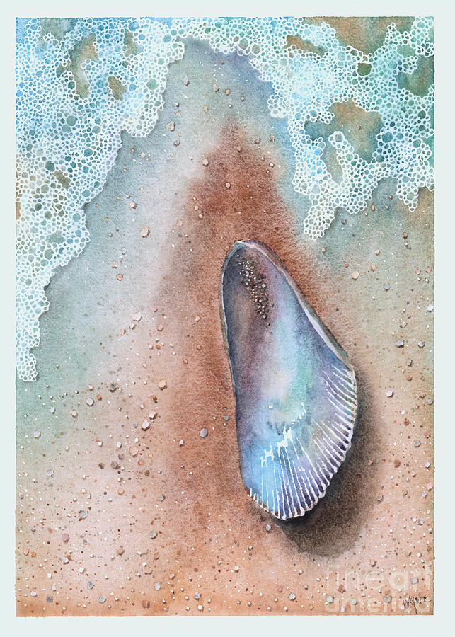 Ribbed Mussel Painting by Hilda Wagner