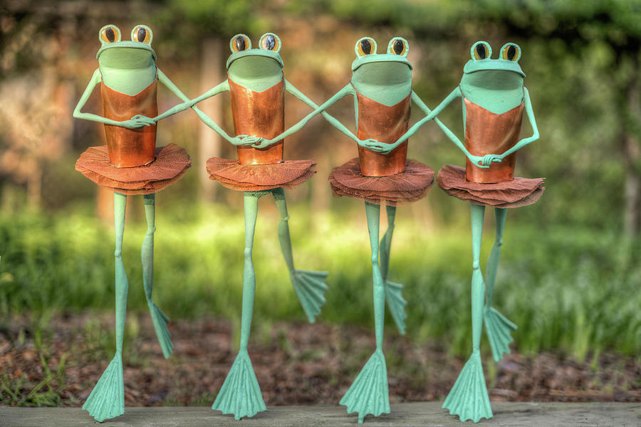 Ribbit, The Exhibit Photograph by Jamison Moosman - Fine Art America