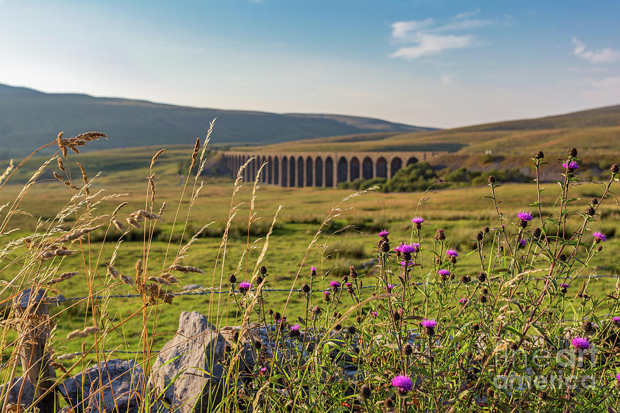 Ribblehead Viaduct Photograph by Tom Holmes Photography