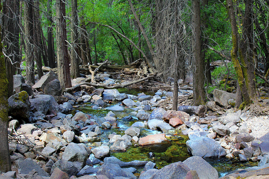 Ribbon Creek Photograph