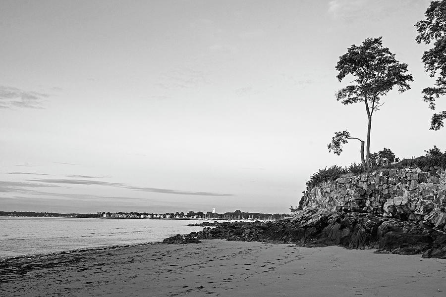 Rice Beach Sunrise Beverly MA Cliff Tree Black and White Photograph by Toby McGuire