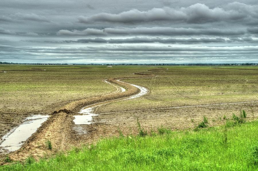 Rice Field Levee In Arkansas 4 Photograph