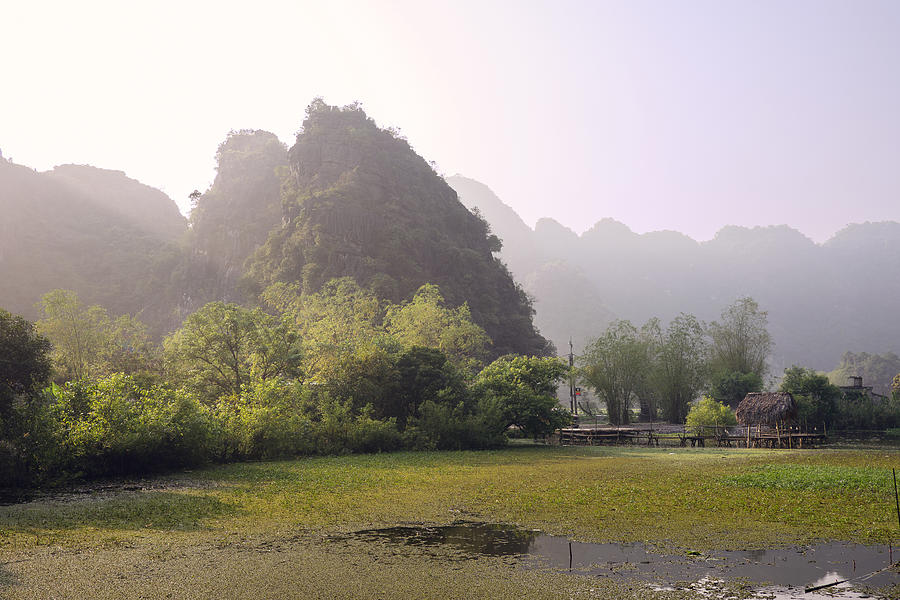 Rice fields and the karst rocks of Ninh Binh Photograph by Bernd Schunack