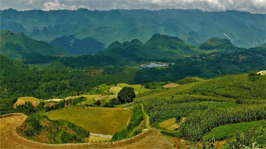 Rice fields, Vietnam Photograph by Robert Bociaga