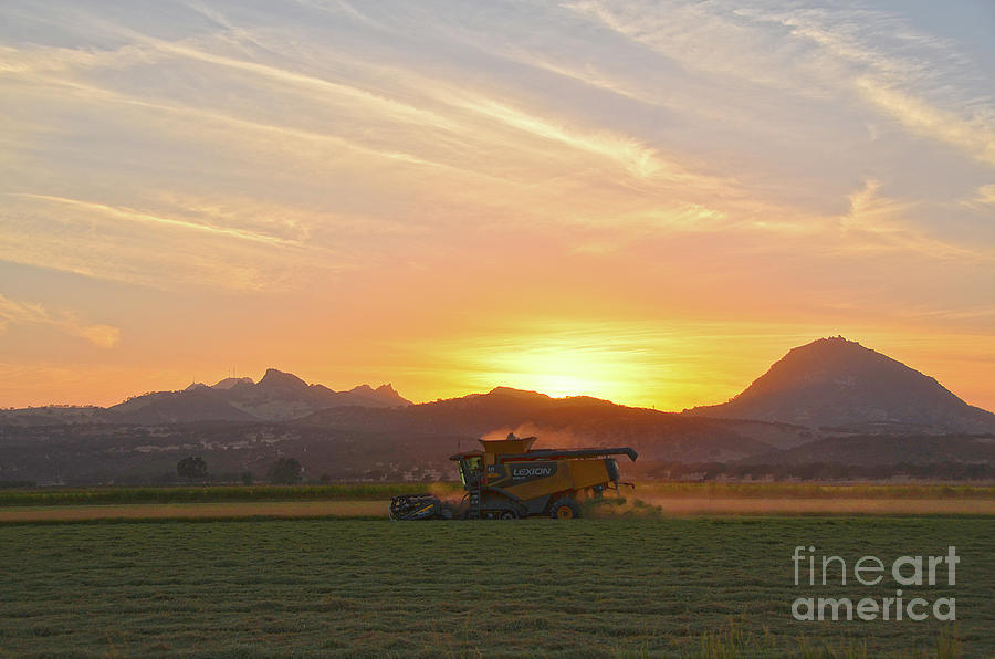Sunset Photograph - Rice Harvester Sutter Buttes Sunset by Michelle Zearfoss