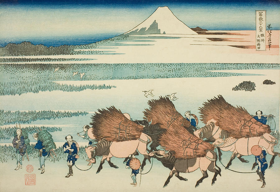 Rice Paddies at Ono in Suruga Province, from the series Thirty-Six Views of Mount Fuji Relief by Katsushika Hokusai