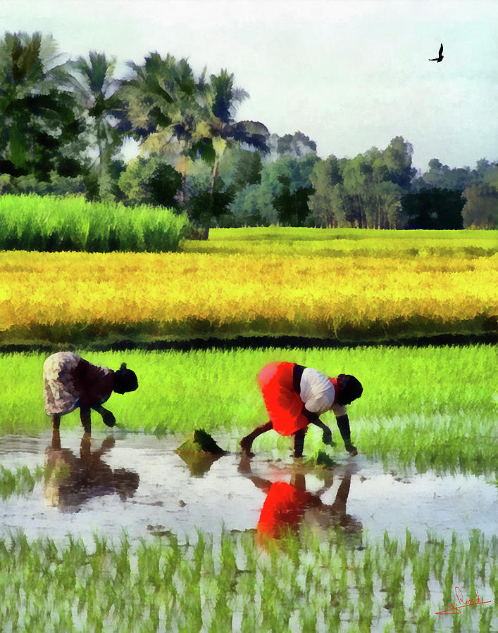 Rice peasants Painting by George Rossidis