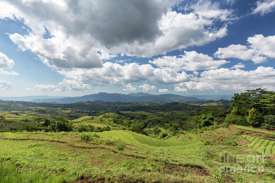 Rice Terrace Under Construction Photograph by Danaan Andrew - Fine Art ...