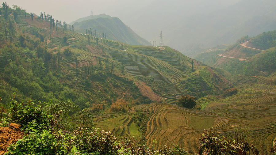 Rice Terraces in Vietnam Photograph by Rob Hemphill