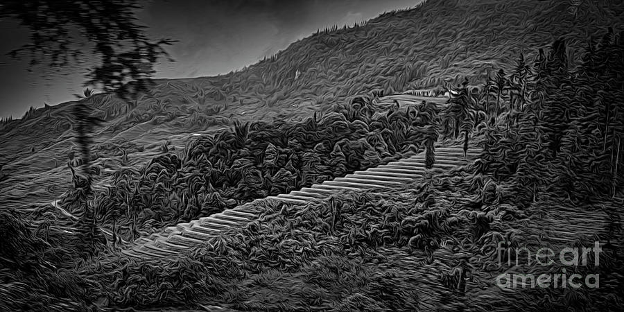 Landscape Photograph - Rice Terrain Sapa Vietnam BW by Chuck Kuhn