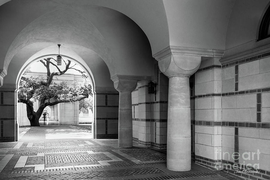 Rice University Passageway Photograph by University Icons