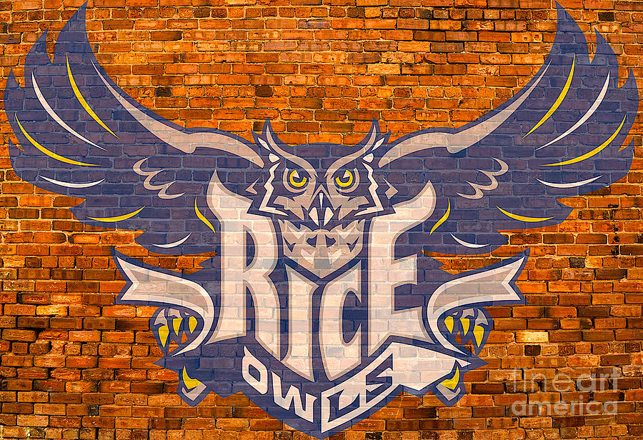 Rice University Digital Art by Steven Parker