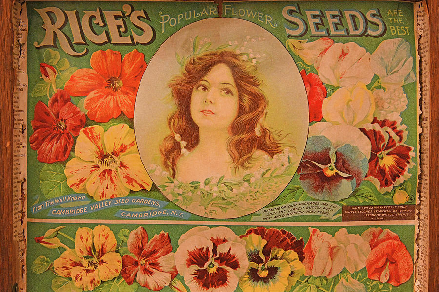 Rices Seed Box Lid Photograph
