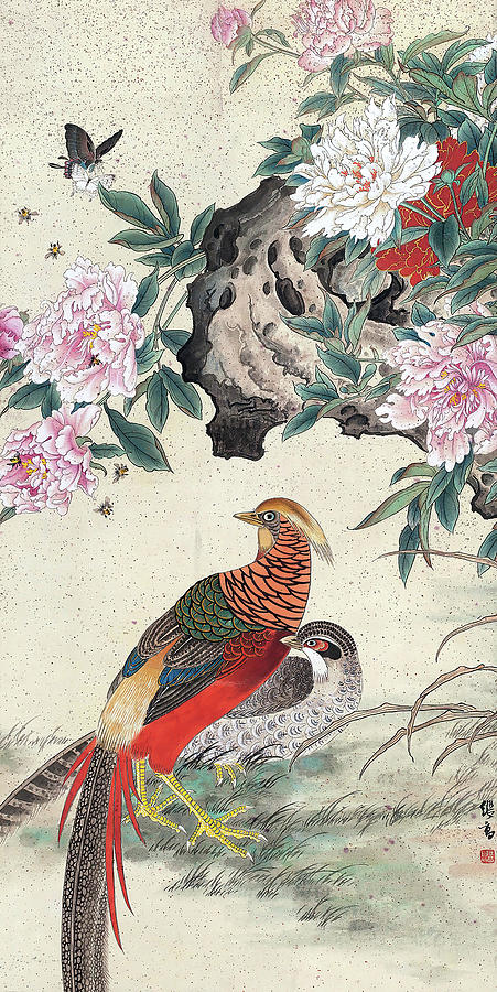 Rich golden pheasant by Yu Ji Gao Rich golden pheasant by Yu Ji Gao