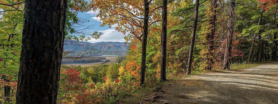 Rich Mountain Road Overlook Photograph by David R Robinson